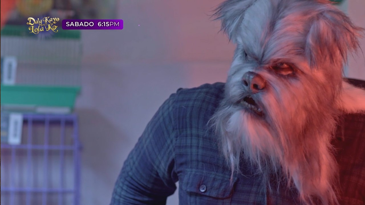 Daig Kayo Ng Lola Ko:  Ultimate fight ni Captain Kitten (Episode 316 )