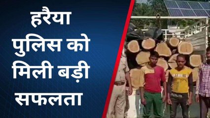 बलरामपुर: अवैध लकड़ी से लदी पिकअप वाहन को पुलिस ने पकड़ा,इतने लोग गिरफ्तार