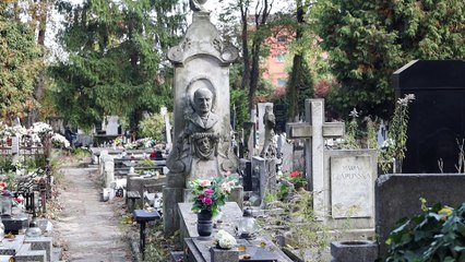 Kwesta - Rozmowa z Cezarym Pawlakiem