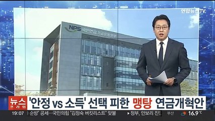 '안정 vs 소득' 선택 피한 맹탕 연금개혁안