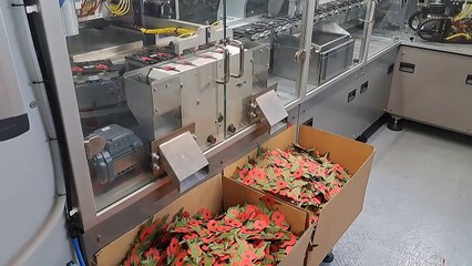 Poppies being made by the Royal British Legion