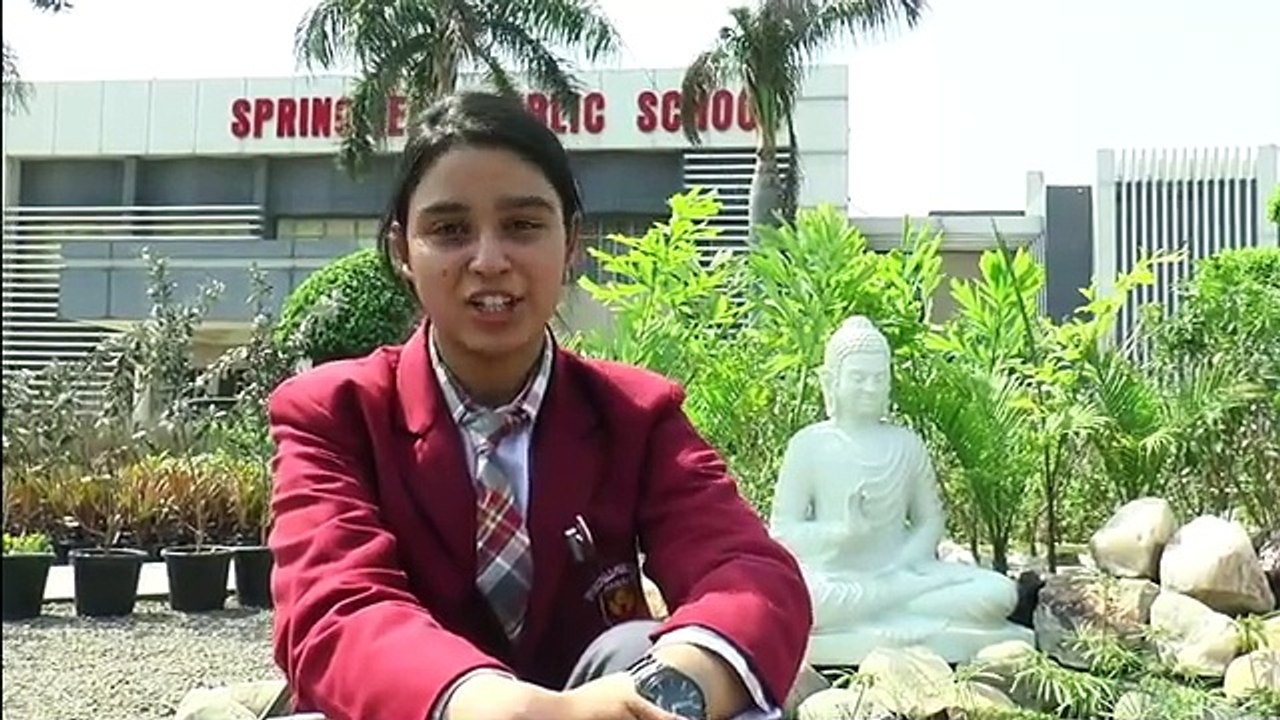 Springfield Public School | No 1 Boarding school | Best boarding school for boys | Best boarding school for nri