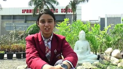 Springfield Public School | No 1 Boarding school | Best boarding school for boys | Best boarding school for nri
