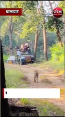 कान्हा नेशनल पार्क पहुंचे सचिन तेंदुलकर