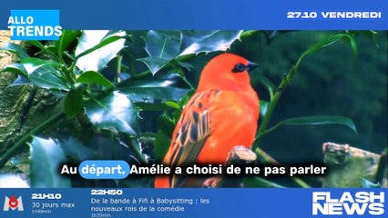 "Amélie critique le comportement de Mélanie dans les Cinquante : elle a bien changé depuis la saison 1 !"