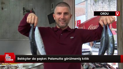 Balıkçılar da şaşkın: Palamutta görülmemiş kıtlık