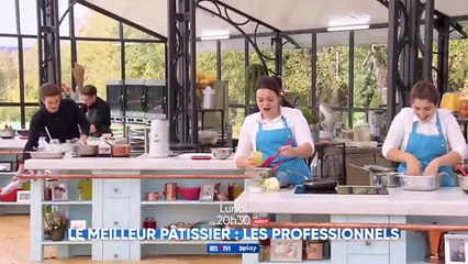 Le meilleur pâtissier : Les professionnels