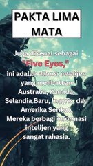 FAKTA LIMA MATA  pasukan khusus dari berbagai negara.coba comen ya   #shorts #beritaterkini #fakta