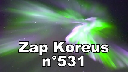 Zap Koreus n°531