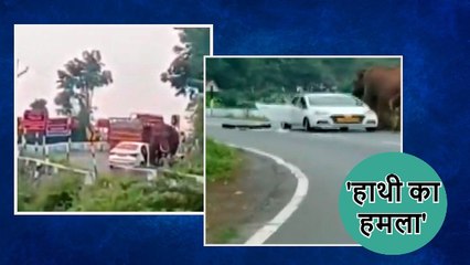 Tamil Nadu: नीलगिरि में जंगली हाथी का तांडव, सूंड से कार पर यूं किया हमला