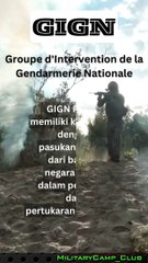 NATO Response Force (NRF) Fakta pasukan khusus dari berbagai negara #fakta #beritaterkini #shorts