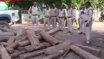 छतरपुर: वन विभाग की बड़ी कार्यवाही, सागौन की ज़ब्त