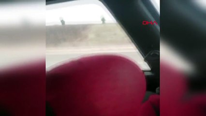 Nesli Tükenme Tehlikesindeki Vaşak Beypazarı'nda Görüntülendi