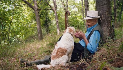 Chasseurs de truffes