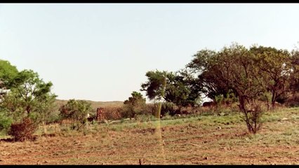 Limpiadores de Minas 1998 Español Latino - Sweepers