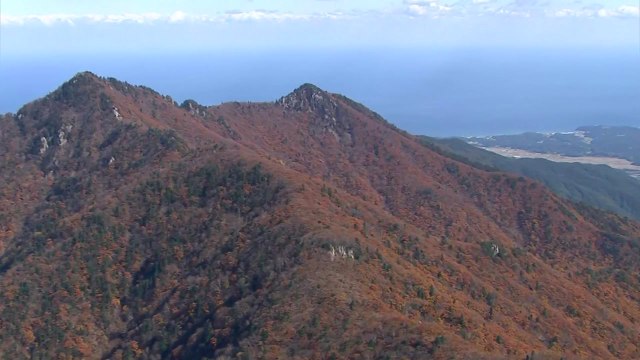 [날씨] 주말 맑고 큰 일교차...내륙 단풍 절정 / YTN