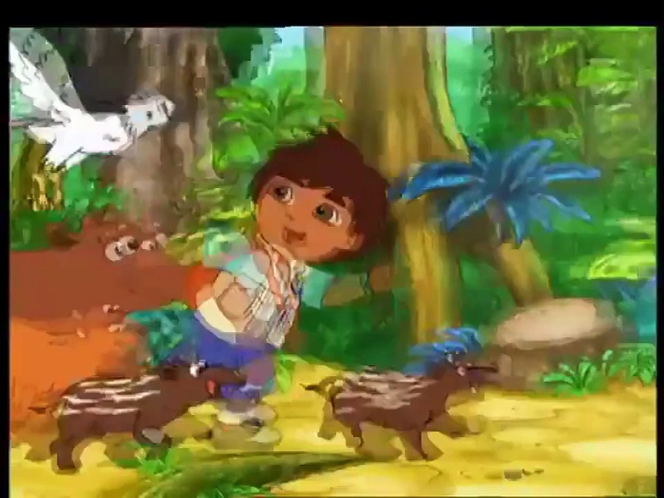 Go Diego !