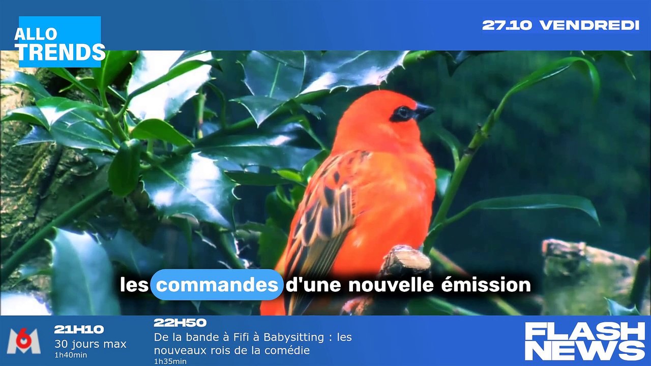 Comment Cyril Hanouna a séduit Pascale de la Tour du Pin pour rejoindre C8 : les détails de leur rencontre à Cannes (VIDÉO)