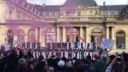 Rassemblement devant le Conseil d’Etat en soutien aux "Soulevements de la Terre" menacé de dissolution