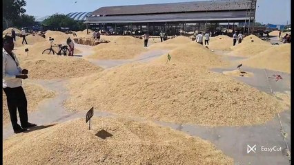 कृषि जिंसों सहित किराना व सर्राफा बाजार भाव