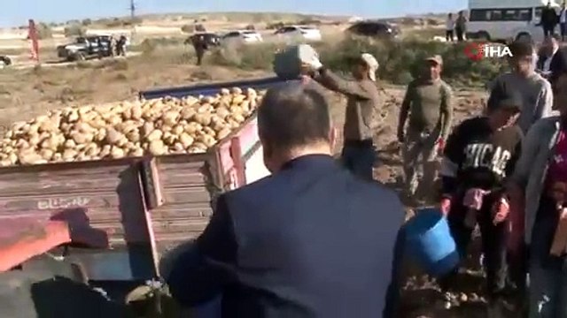 Nevşehir'de hasadı başladı; tarlada 8, markette 18 TL: Kış boyu tazeliğini koruyor!