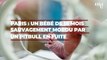 Paris : un bébé de 18 mois sauvagement mordu par un pitbull en fuite, ce que l'on sait