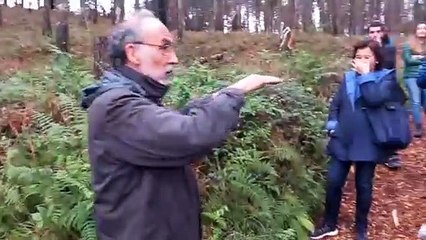 José Ibarrola recorre el nuevo Bosque de Oma, réplica del que pintó su padre en los años 80
