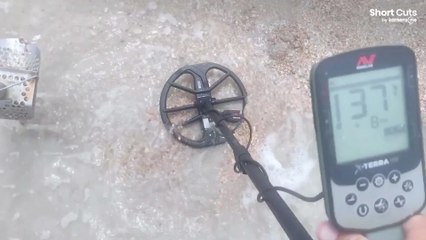 Un chercheur de métaux de Floride retrouve l'alliance d'un couple canadien