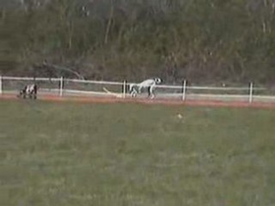 Farik - 29.03.08 comp