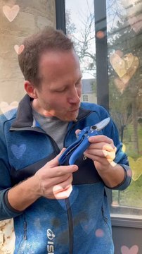 N’oubliez pas d’aiguiser votre sécateur avant de tailler vos framboisiers ! ‍✂️❤️