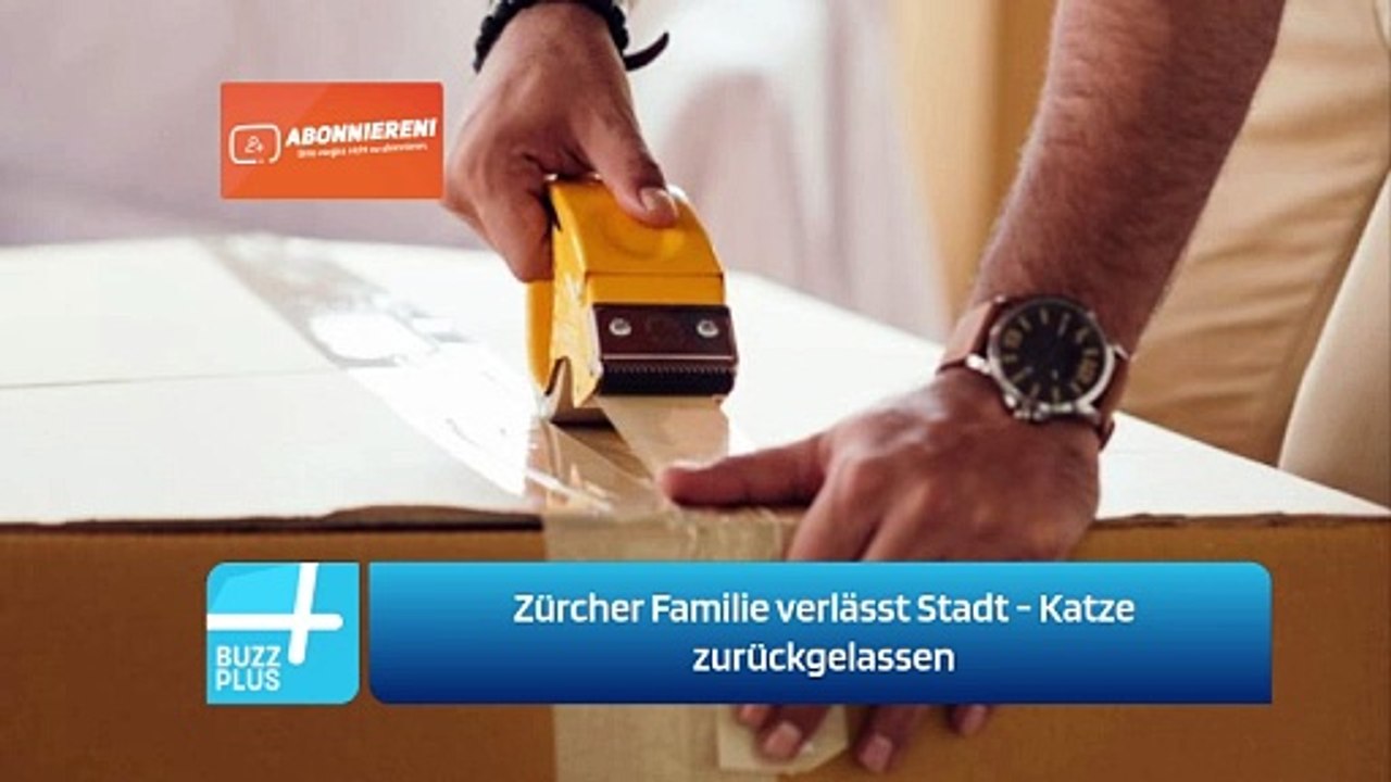 Zürcher Familie verlässt Stadt - Katze zurückgelassen