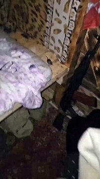 Ils vivent avec les rats et les souris... flippant