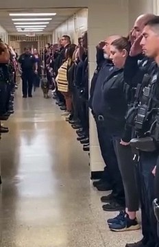 Le départ de ce chien policier malade du cancer va vous faire pleurer