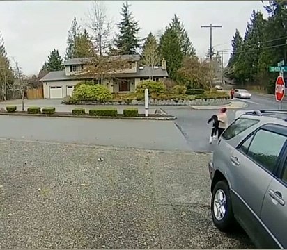 Une voleuse de colis se prend un retour de karma douloureux