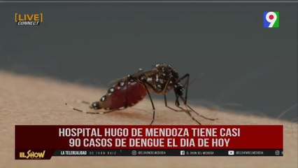 Daniel Lajara: “Hospitales abarrotados de casos de dengue” | El Show del Mediodía