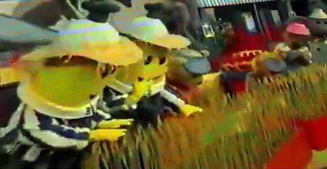 Bananas in Pyjamas Bananas in Pyjamas E104 Hungry Harvest