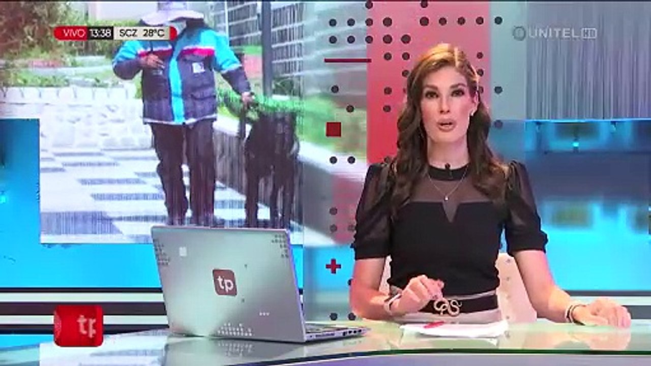 Bronco y otros cinco perros guardianes resguardan el Cementerio General de La Paz