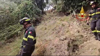 Download Video: Mesoraca, cavallo finisce in un dirupo di circa 30 metri: salvato dai vigili del fuoco