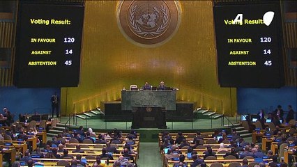 Assembleia Geral da ONU aprova resolução que pede 'trégua humanitária imediata' em Gaza