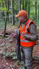 Untangling A Deer From Ropes