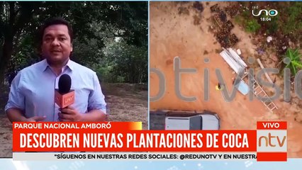 Hallan más plantaciones de coca en el Parque Nacional Amboró