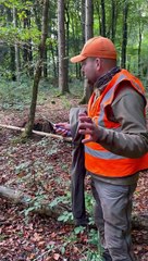 Untangling A Deer From Ropes