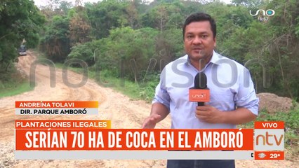 Descubren 70 hectáreas de coca en el Parque Nacional Amboró