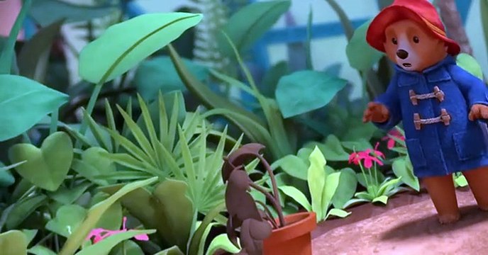The Adventures of Paddington Bear (2019) The Adventures of Paddington Bear S02 E001 Paddington’s Plant Problem