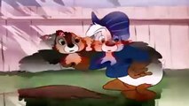 Donald Duck Chip And Dale Goofy Pluto Mickey Mouse Minnie Mouse Disney Movies 3 hours long 2015