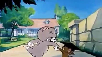 Tom and Jerry Cartoons Classic collection (HQ) (3)