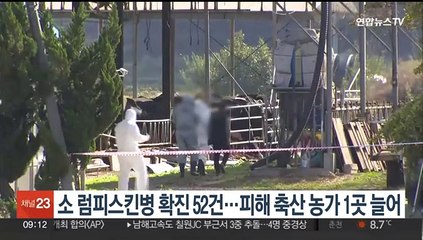 소 럼피스킨병 확산 계속…피해 축산농가 1곳 늘어