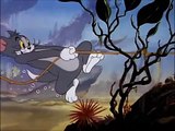 Tom and Jerry, 43 Episode - The Cat and the Mermouse (1949)