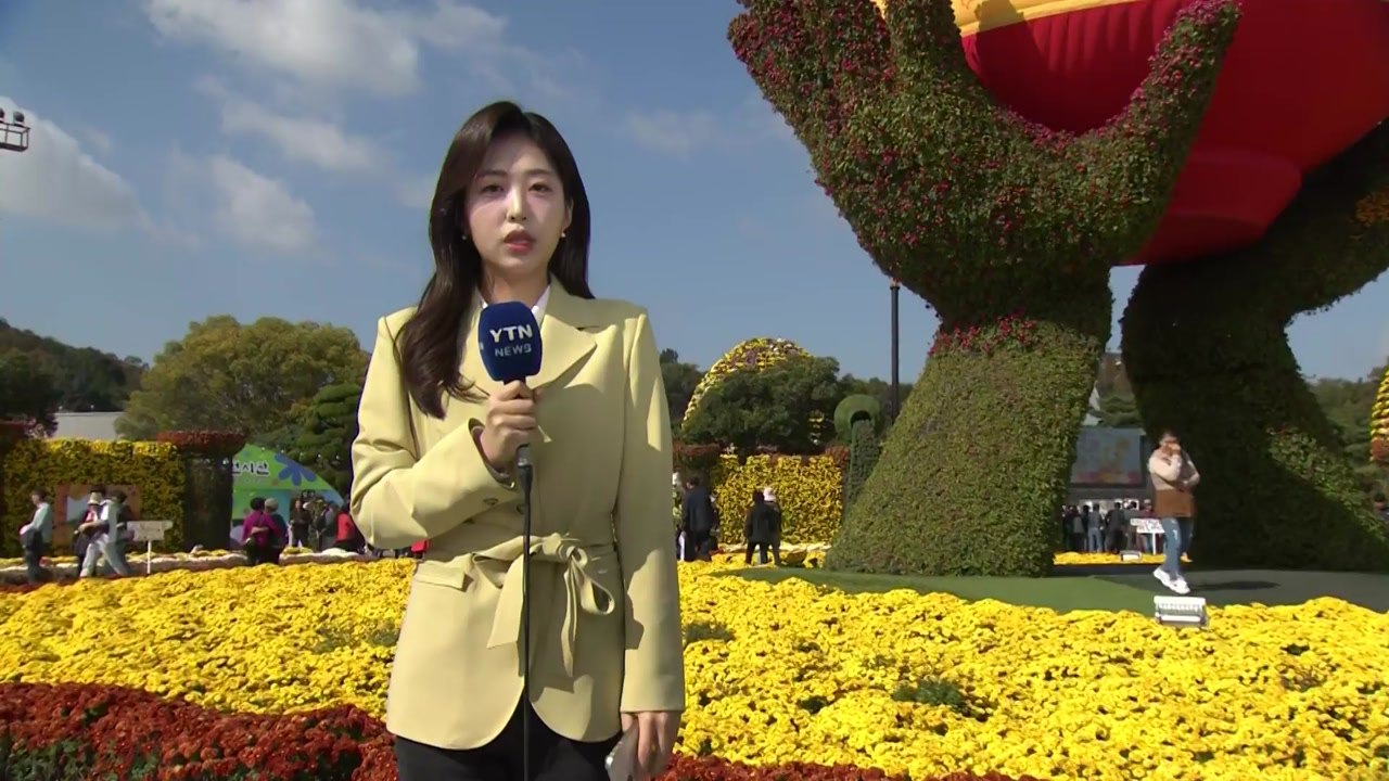 [날씨] 쾌청한 주말...국화 향 가득한 함평 '국향대전' / YTN