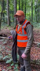 Untangling A Deer From Ropes